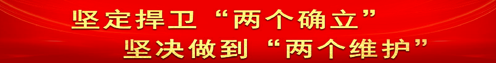 《中国共产党章程（修正案）》诞生记