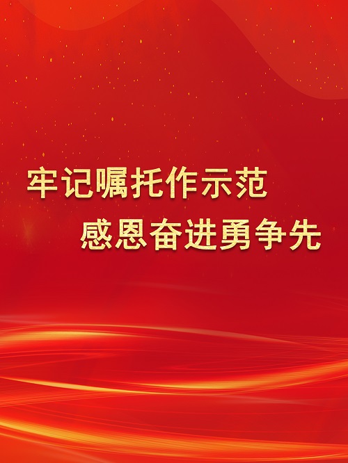 中共中央关于认真学习宣传贯彻党的二十大精神的决定